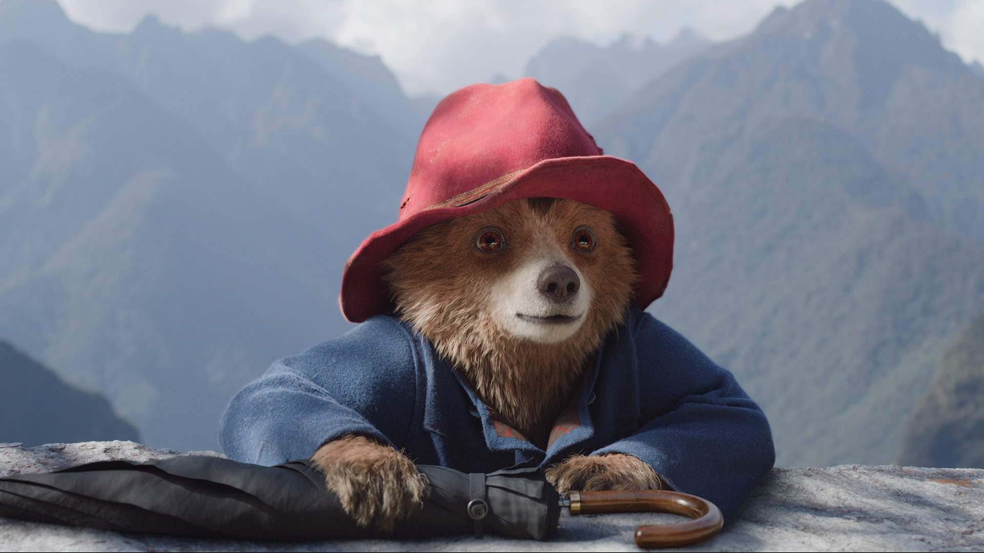 Paddington Bear in Paddington In Peru