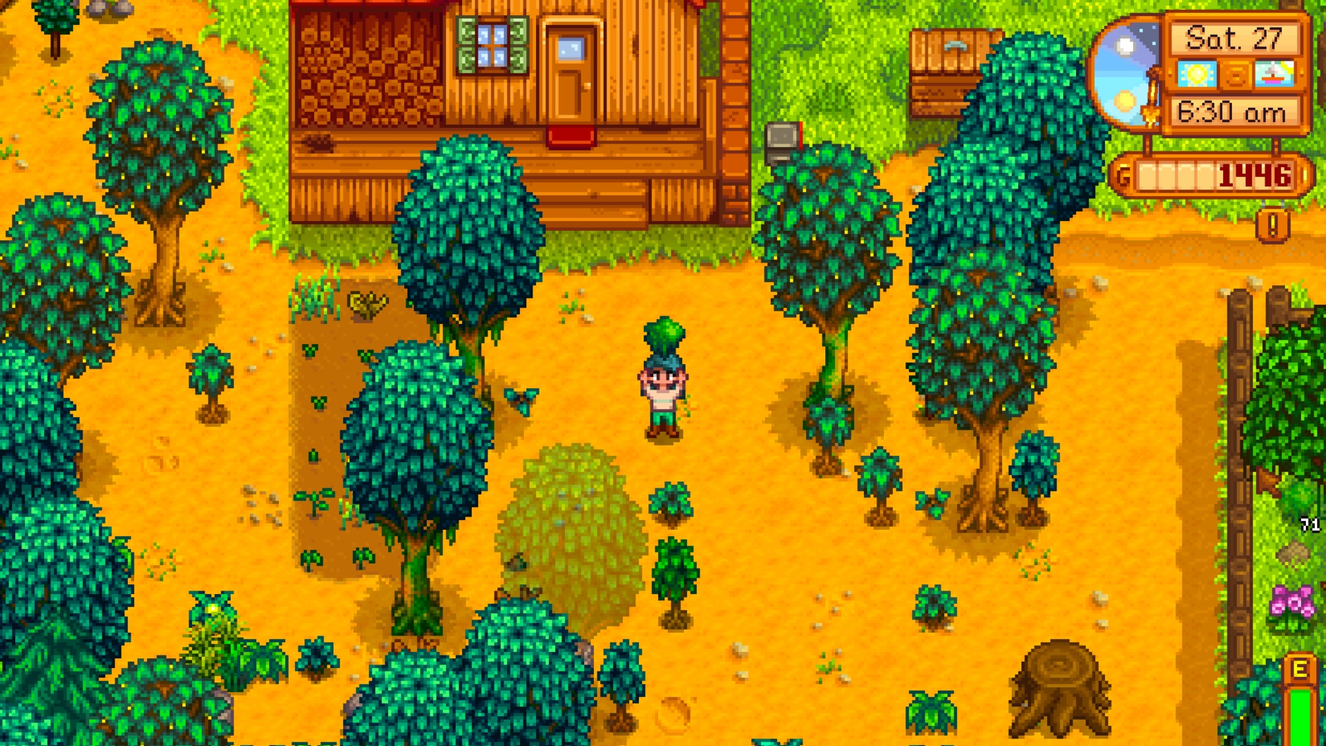 Stardew Valley Moss