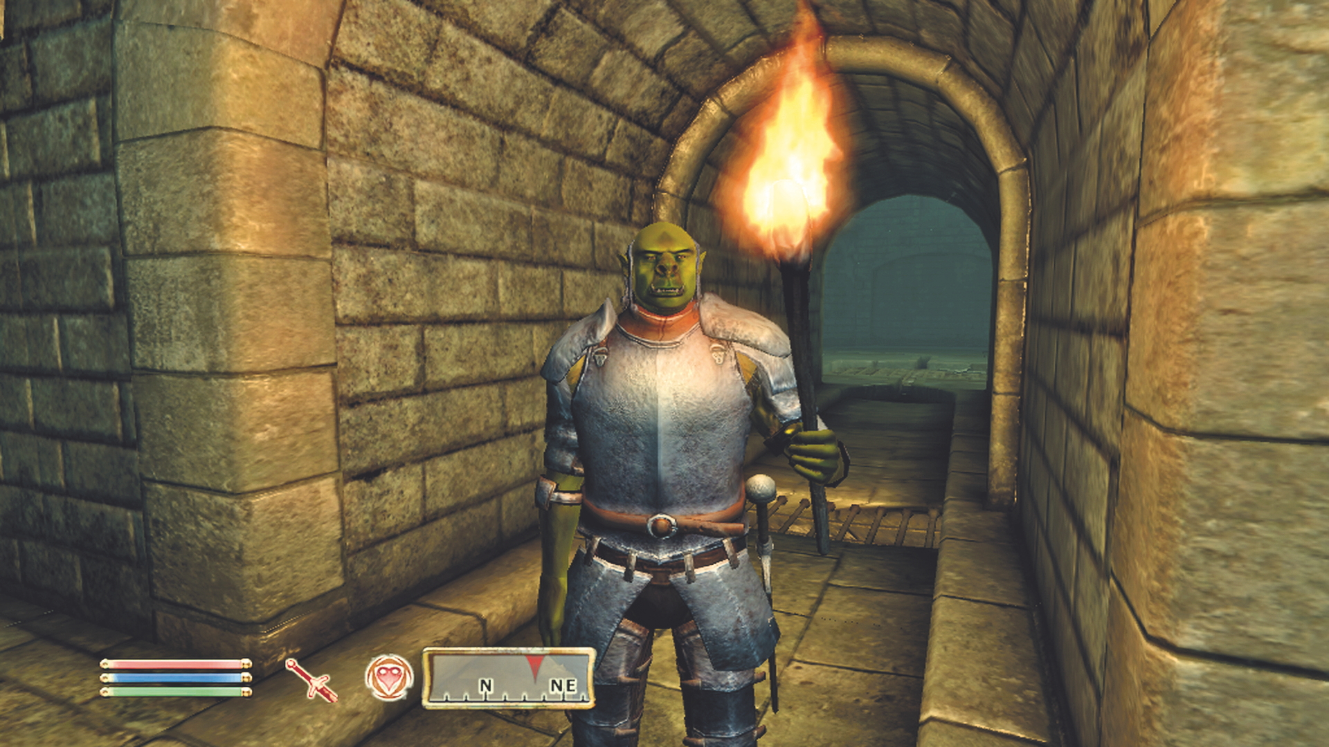 An Orc guard holding a torch during Oblivion.