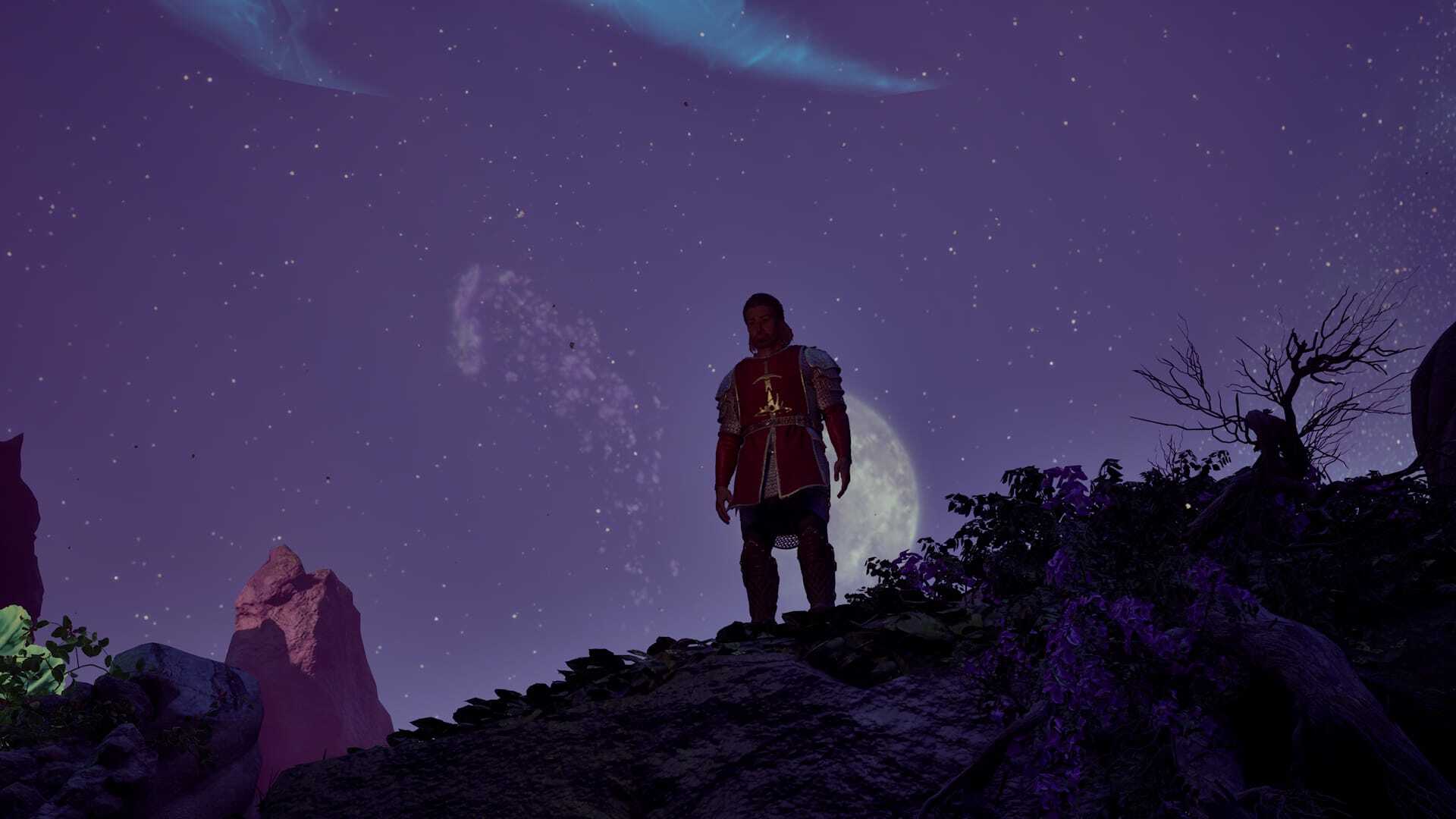 Avowed screenshot of the Envoy looking out with a starry sky and the moon in the background