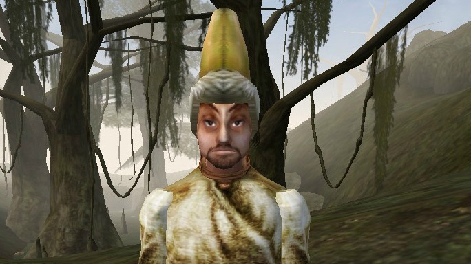 An unimpressed wood elf in a Colovian fur hat.