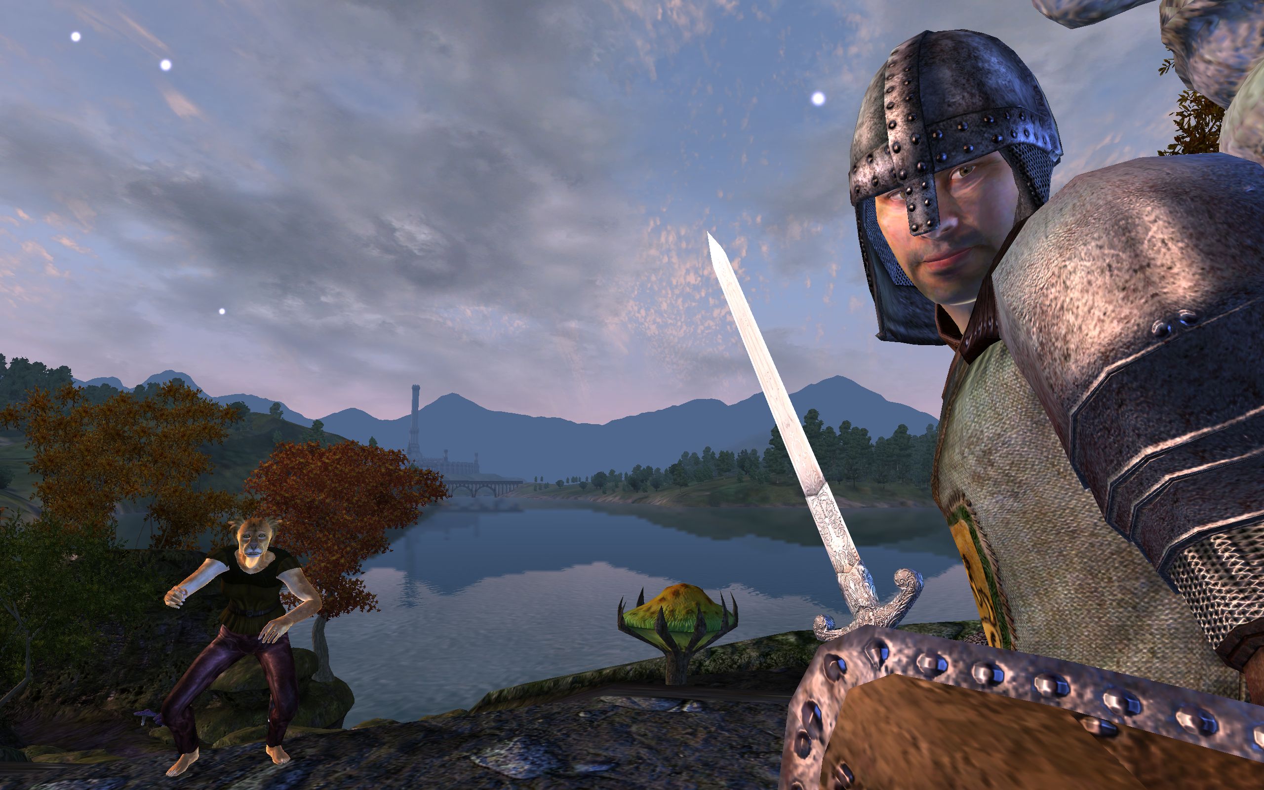 A guard and a khajiit look at you suspiciously.