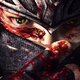 NinjaGaiden