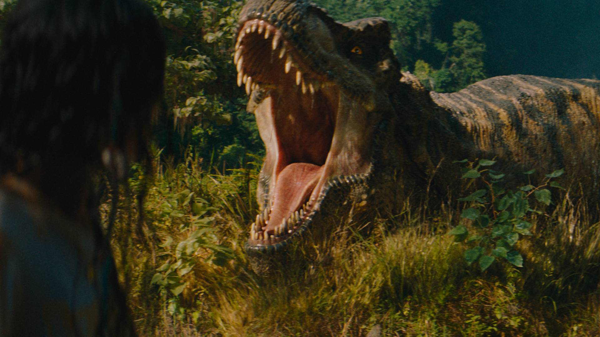 A T-rex in Jurassic World Rebirth