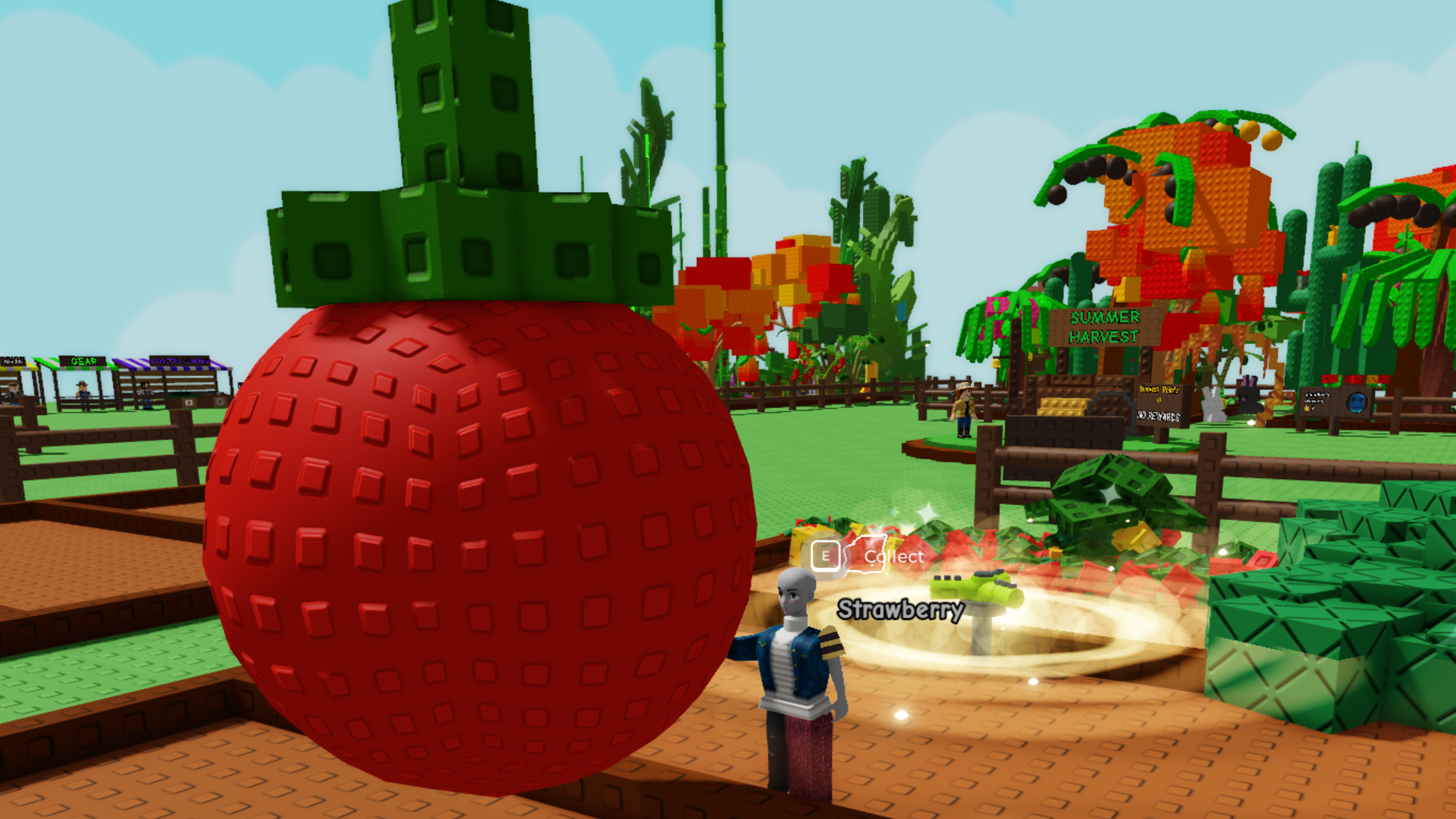 A Roblox person holding a very giant tomato in Grow a Garden.