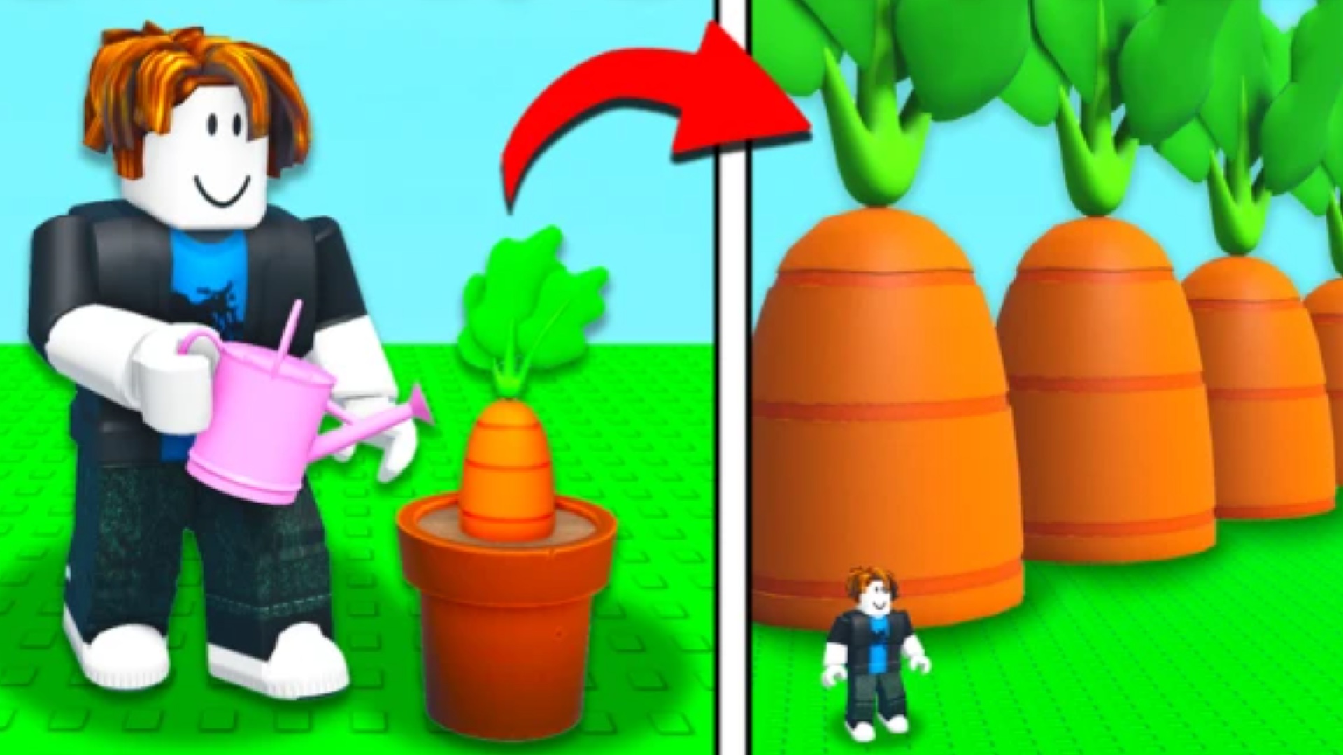 Roblox man watering carrot, arrow, panel break, same Roblox man dwarfed by giant carrots.